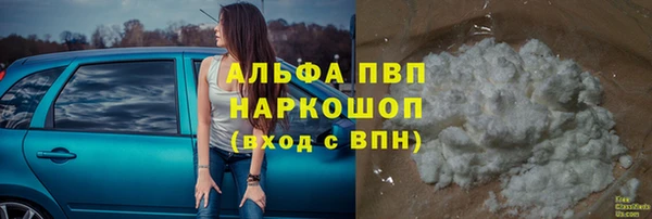 spice Новозыбков