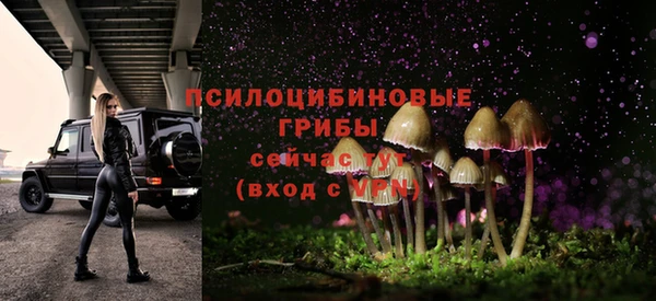 таблы Богородск