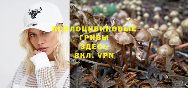 ешки Белокуриха