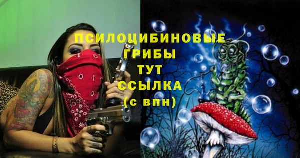 ALPHA PVP Беломорск